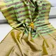 Sea Green__Royal Rajgharana Sarees